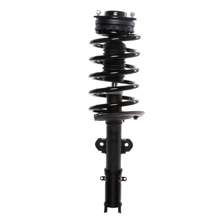 Strut Assembly