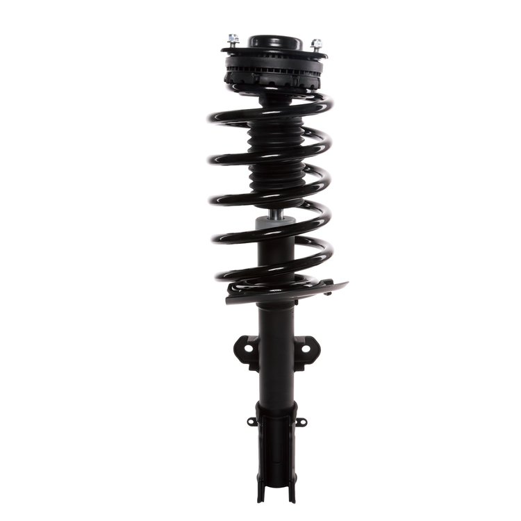 Strut Assembly