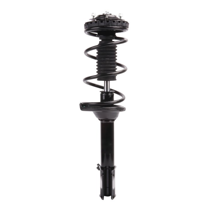 Strut Assembly
