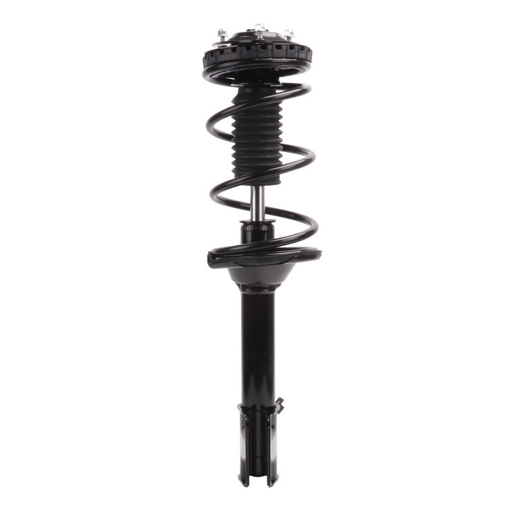 Strut Assembly