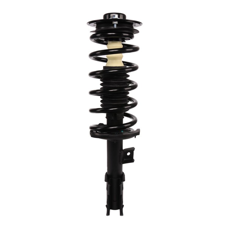 Strut Assembly