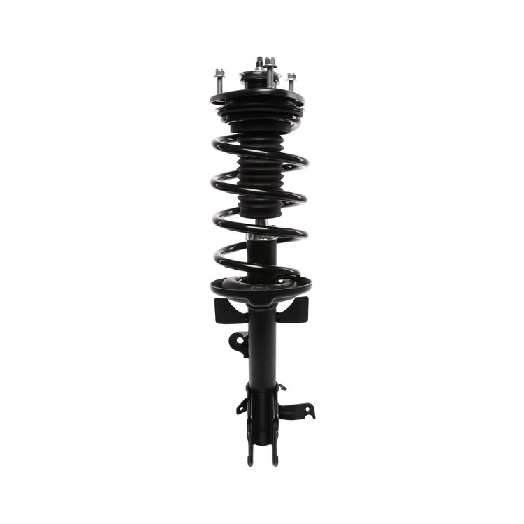 Strut Assembly
