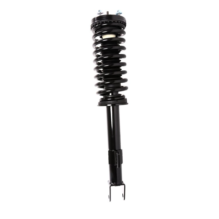 Strut Assembly