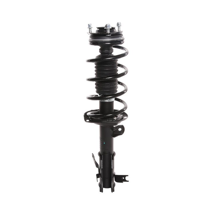Strut Assembly