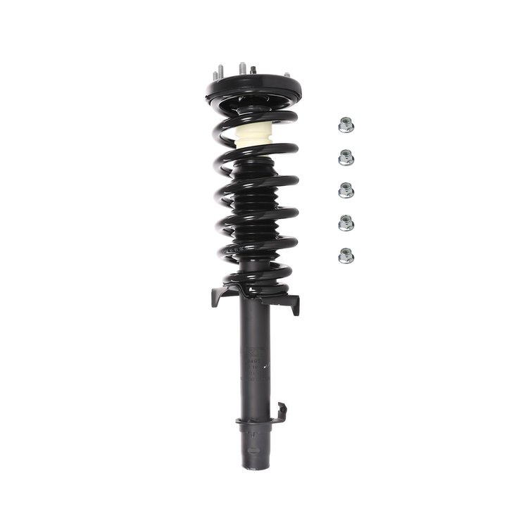 Strut Assembly