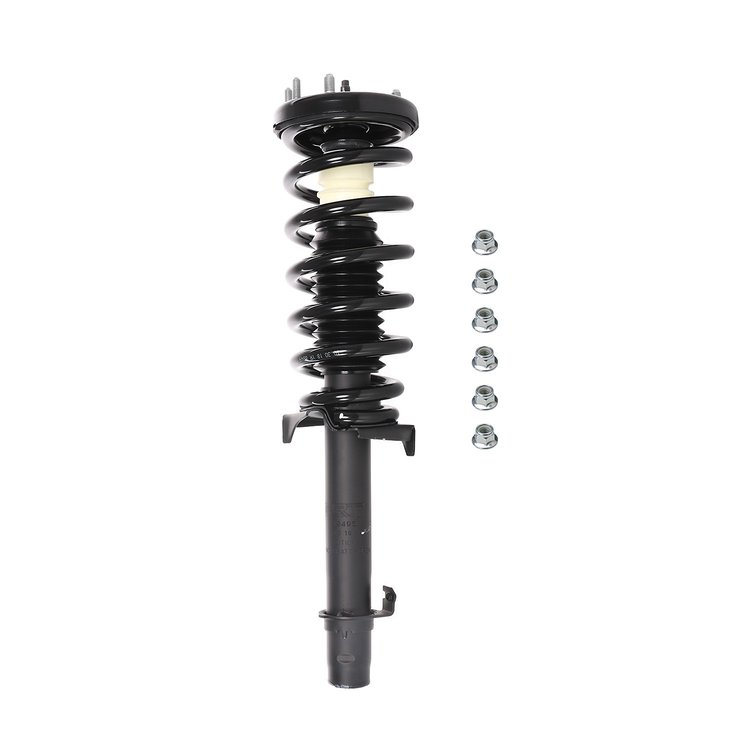 Strut Assembly