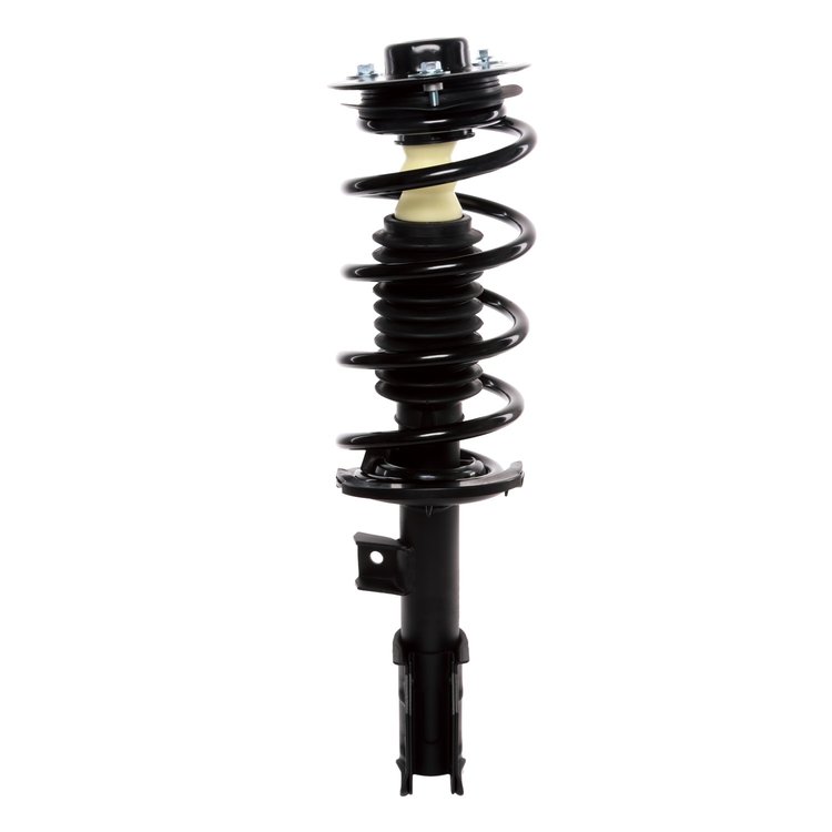 Strut Assembly