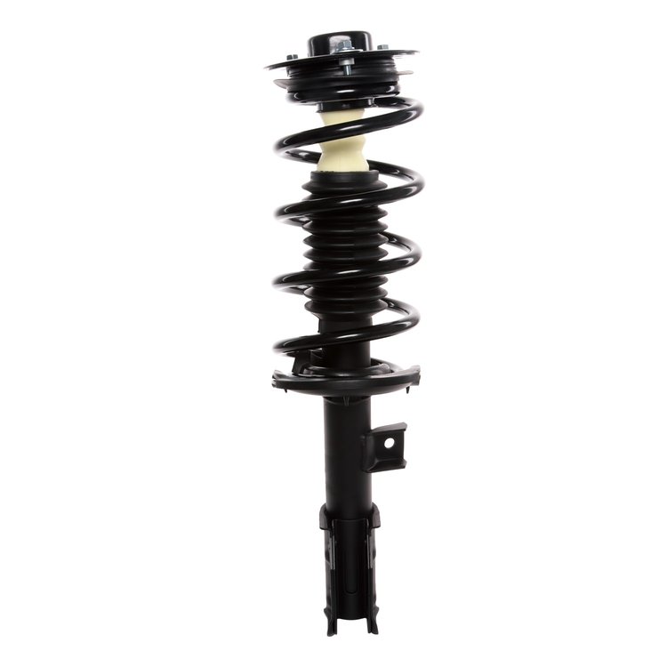 Strut Assembly