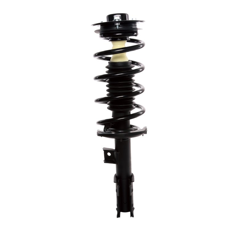 Strut Assembly