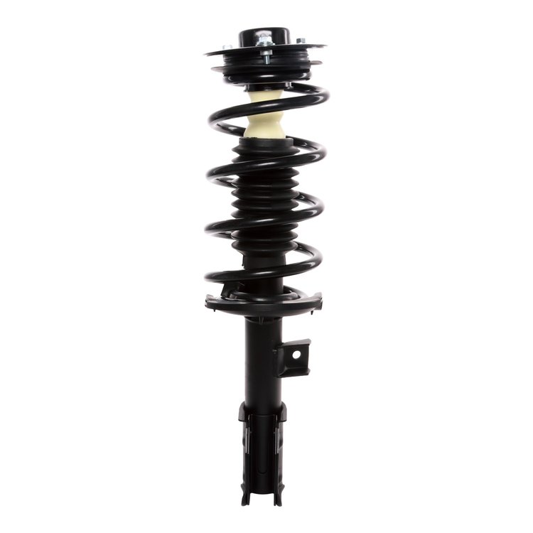 Strut Assembly