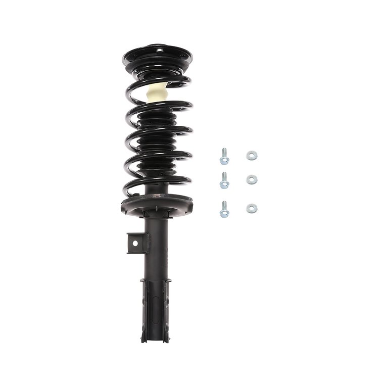 Strut Assembly