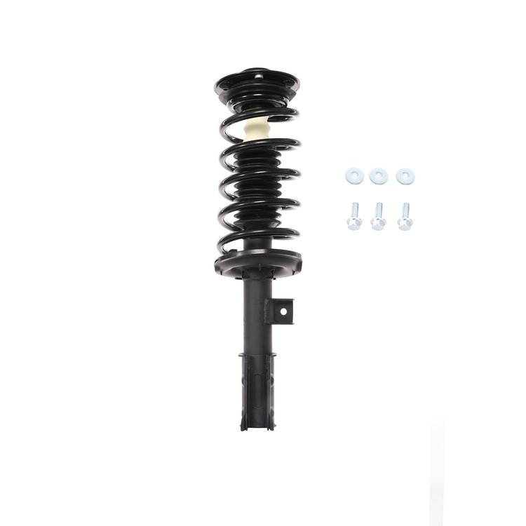 Strut Assembly