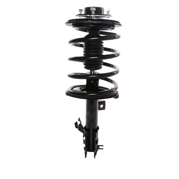 Strut Assembly