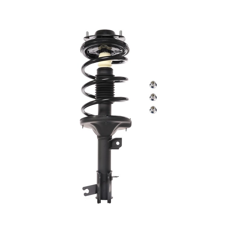 Strut Assembly