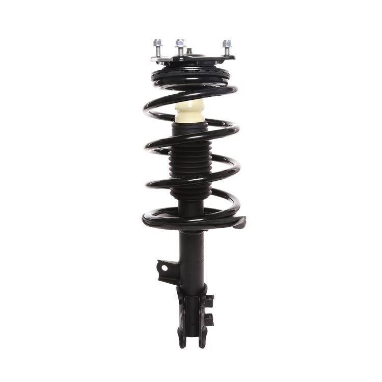 Strut Assembly
