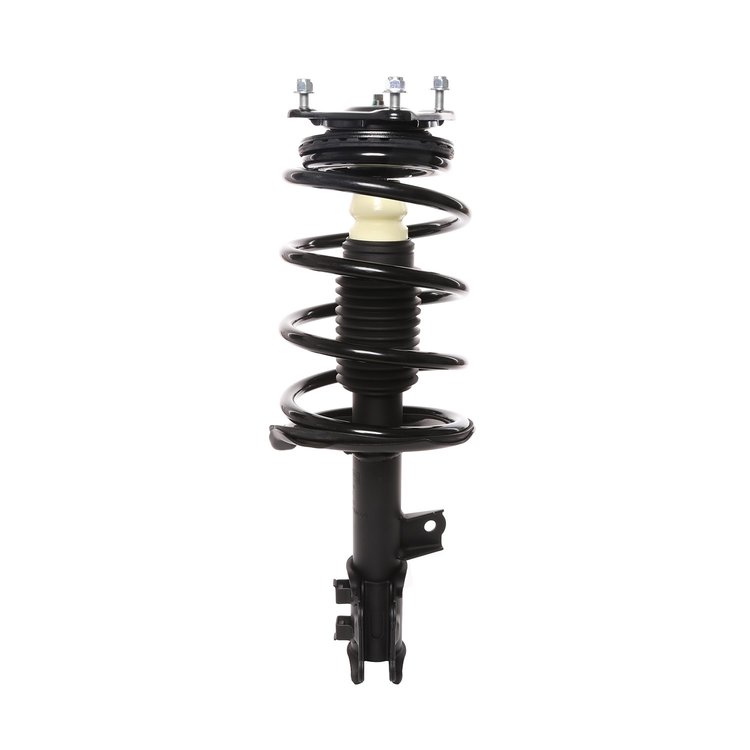 Strut Assembly