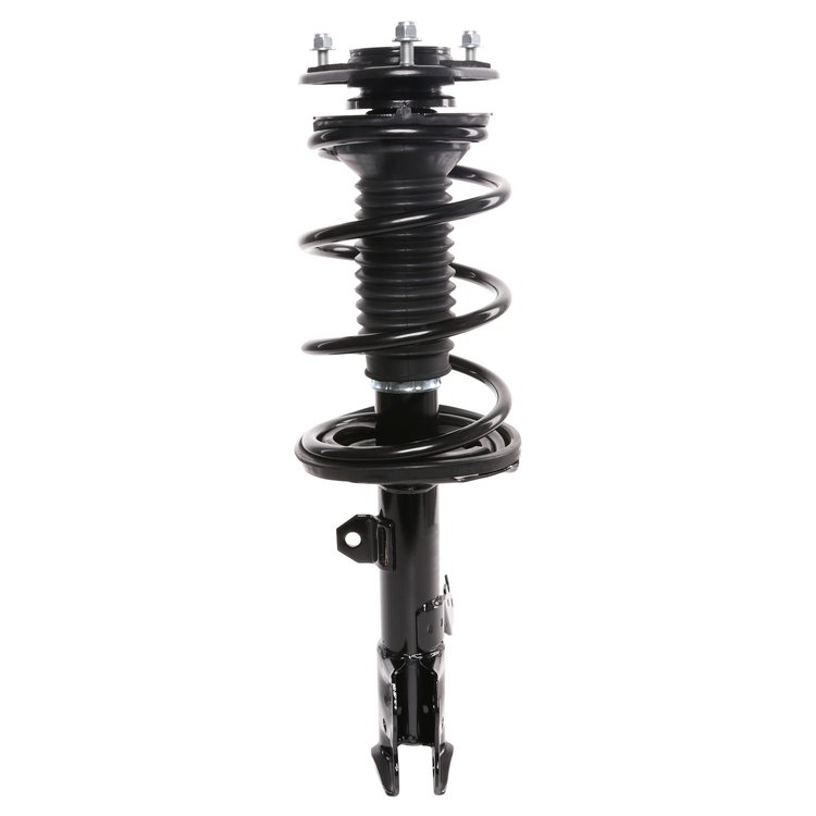 Strut Assembly