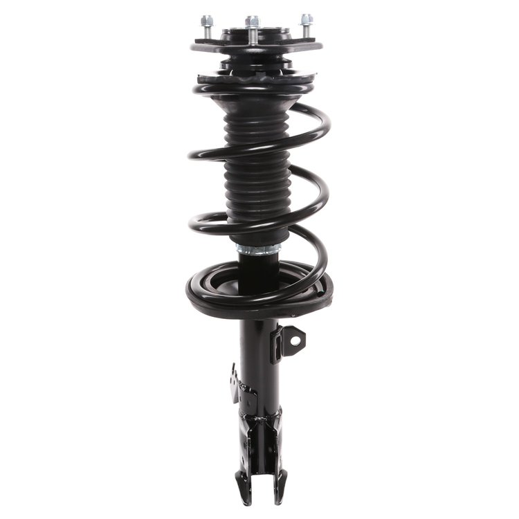 Strut Assembly