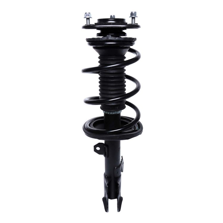 Strut Assembly