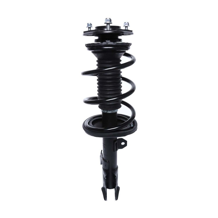 Strut Assembly