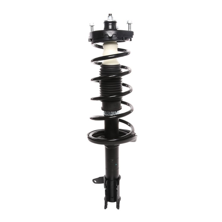Strut Assembly