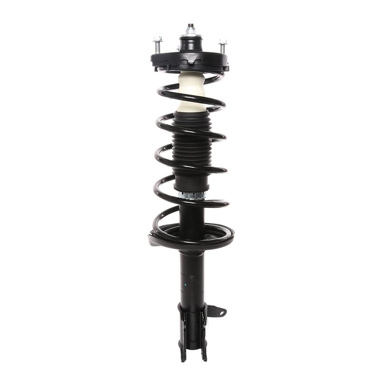 Strut Assembly