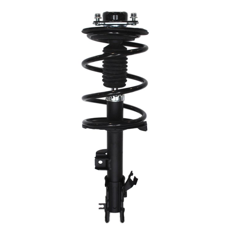 Strut Assembly