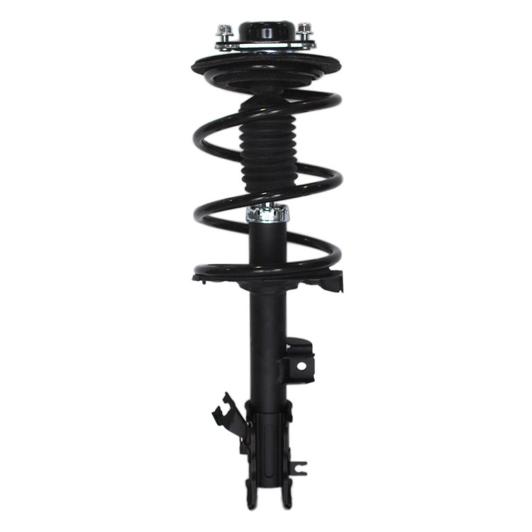 Strut Assembly
