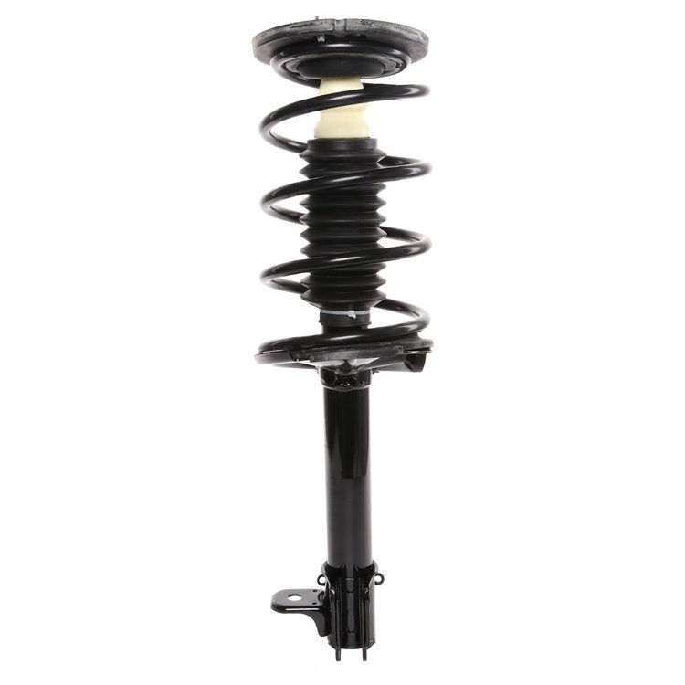 Strut Assembly