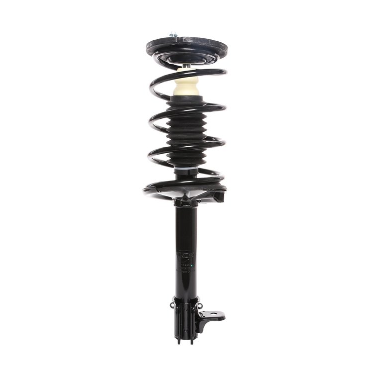 Strut Assembly