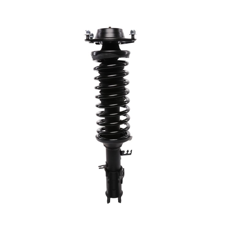 Strut Assembly