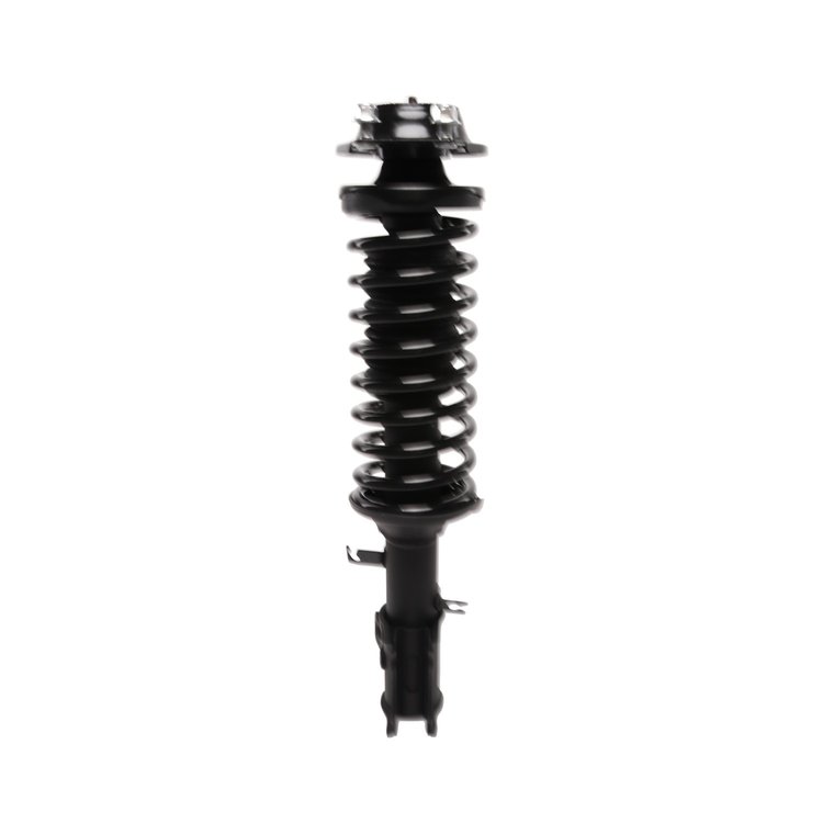 Strut Assembly