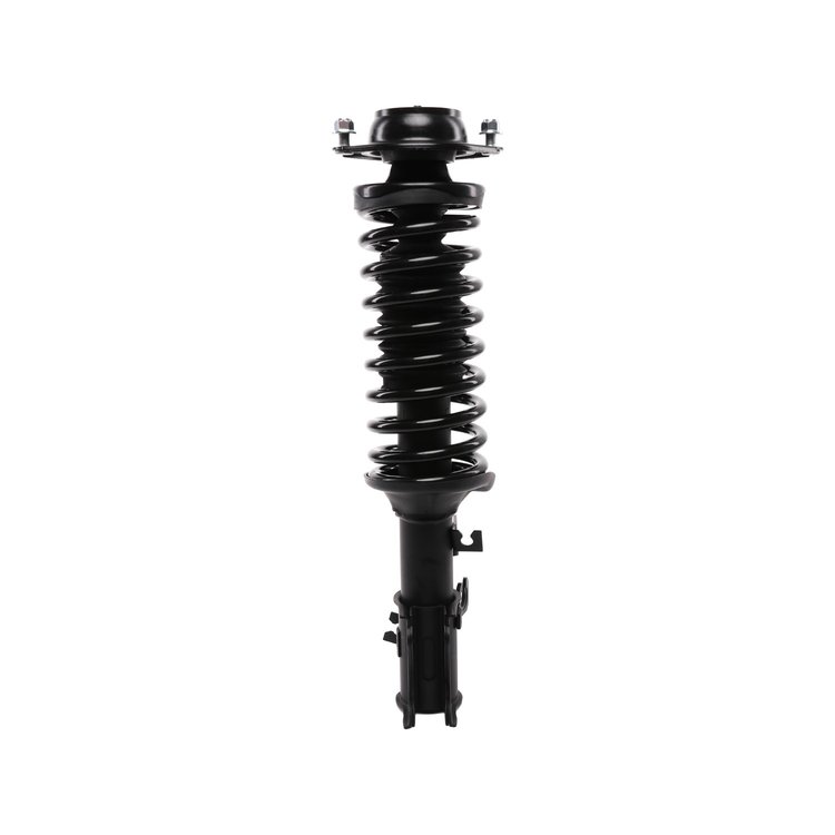 Strut Assembly