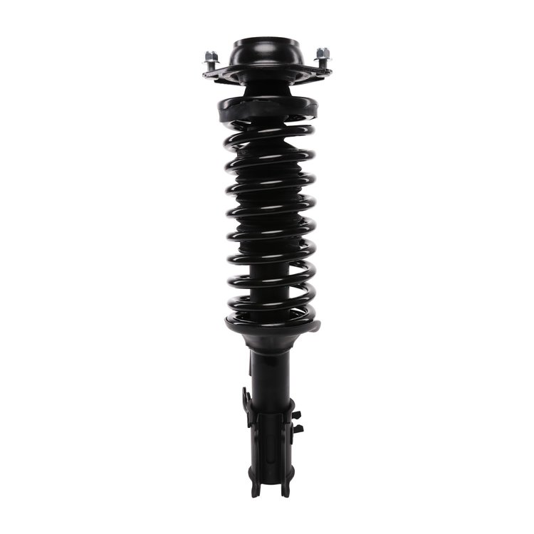 Strut Assembly