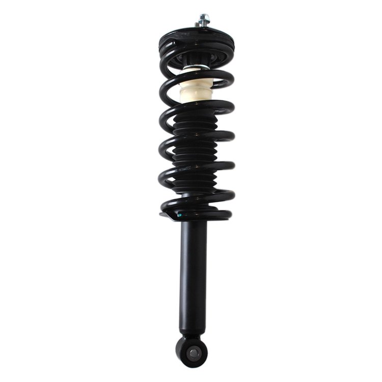 Strut Assembly