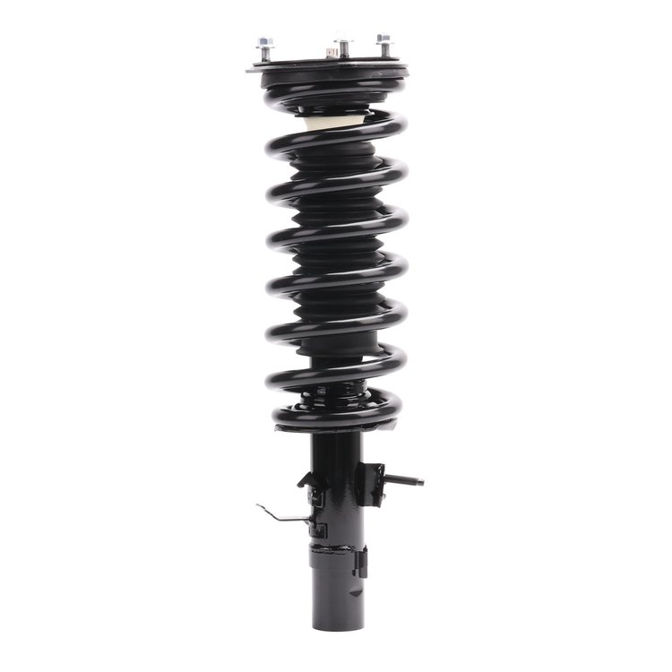 Strut Assembly