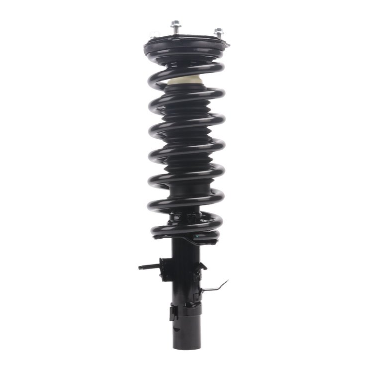 Strut Assembly