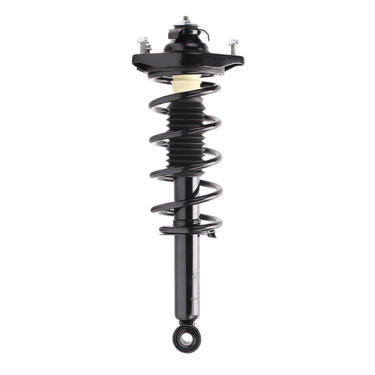 Strut Assembly
