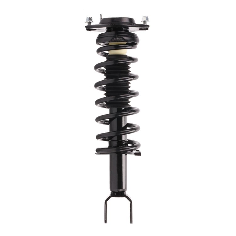 Strut Assembly