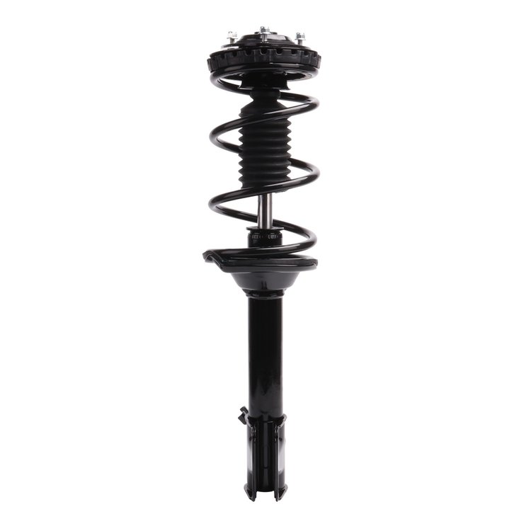 Strut Assembly