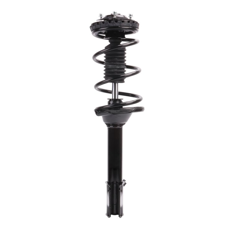 Strut Assembly