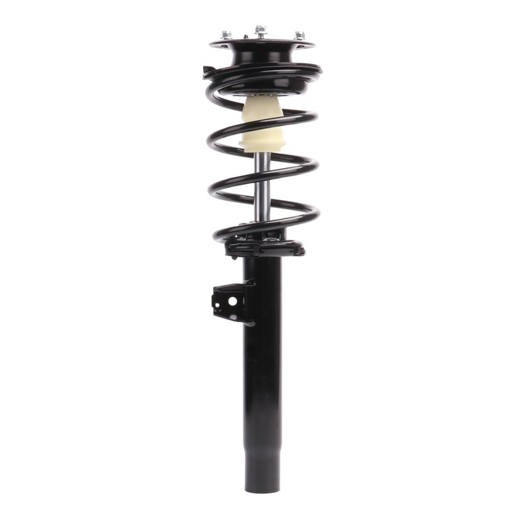 Strut Assembly