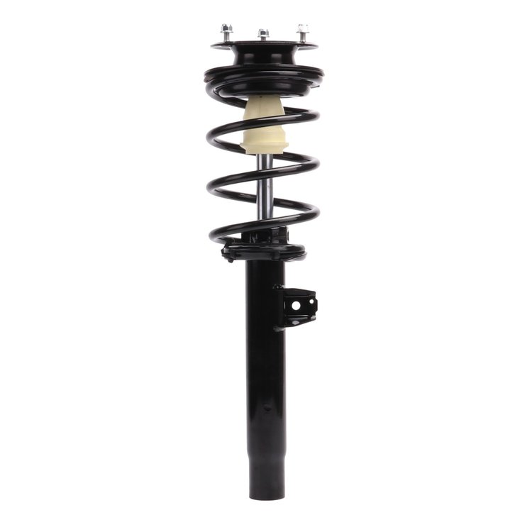 Strut Assembly