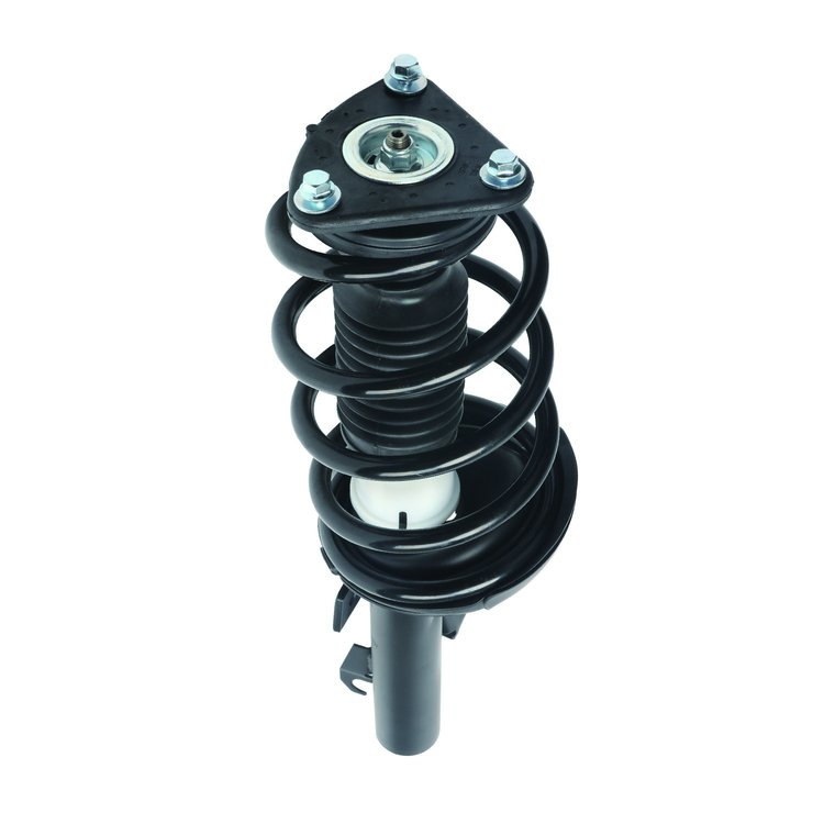Strut Assembly