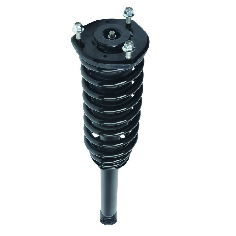Strut Assembly