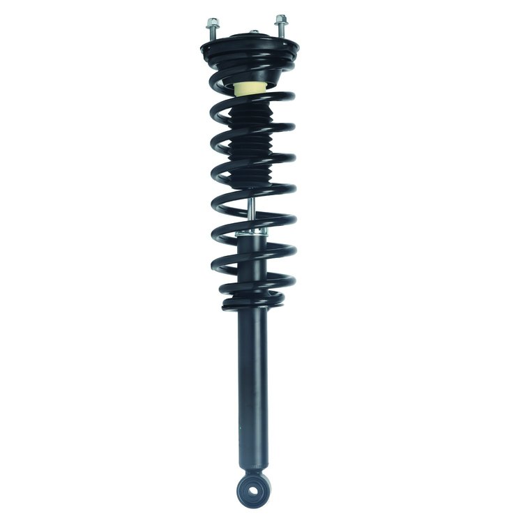 Strut Assembly