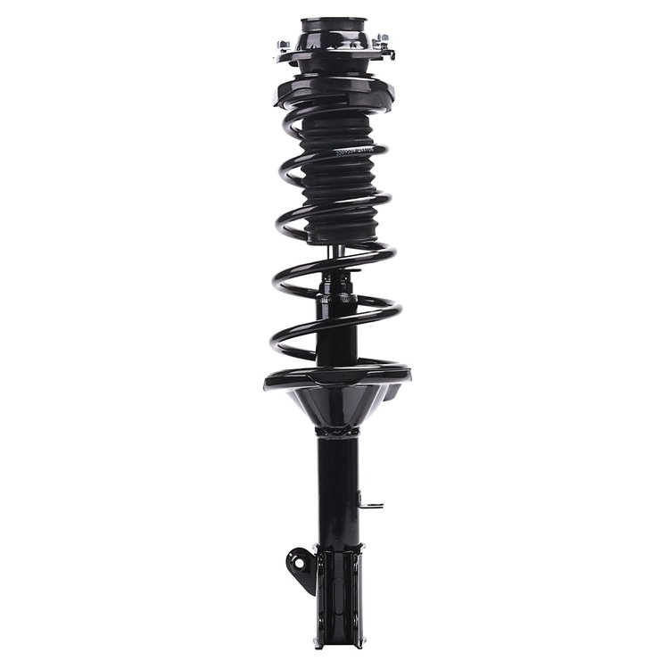 Strut Assembly