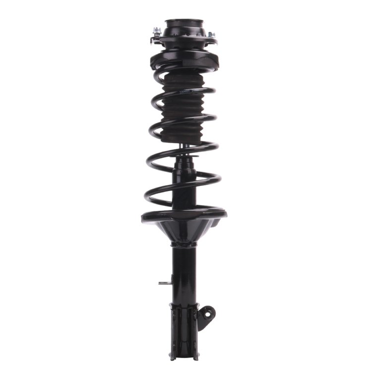 Strut Assembly