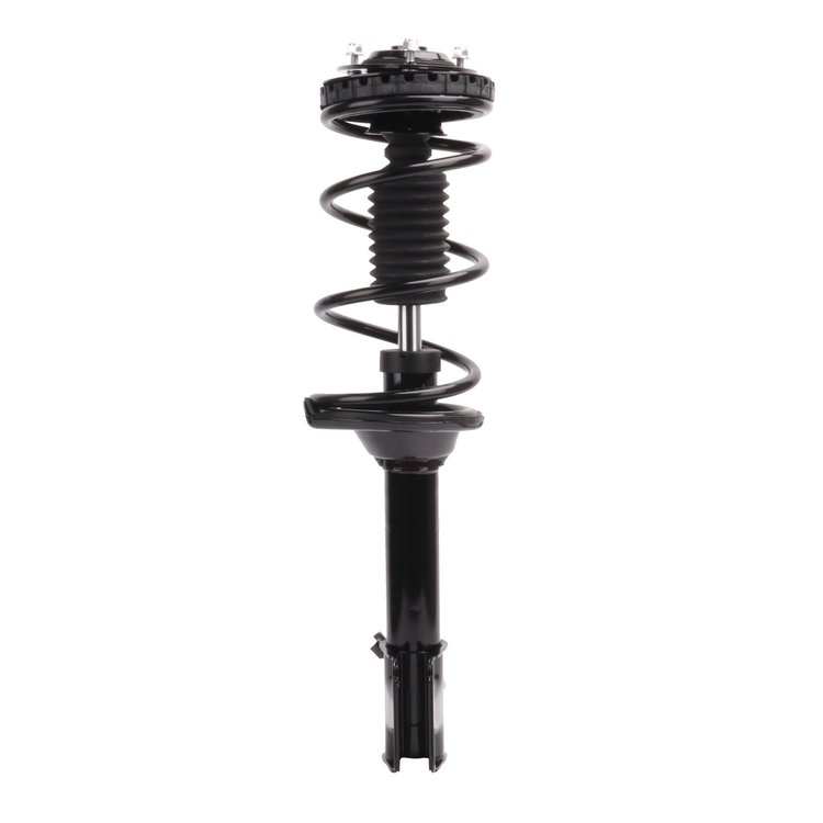 Strut Assembly