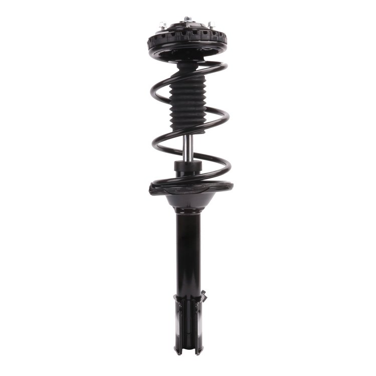 Strut Assembly
